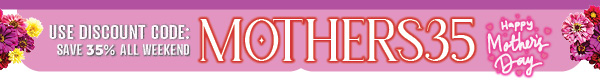 MOTHER - Banner